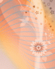 anim176220mobildesign.atw.hu_0487.gif